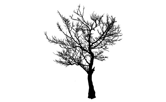 Tree Vector Shapes Pack - 2
