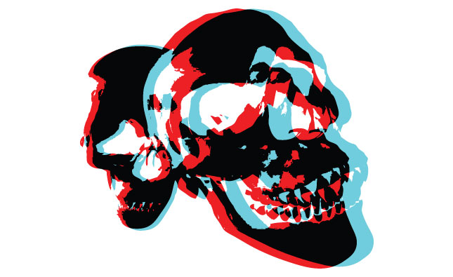 3D Skulls Vector Pack for Adobe Illustrator