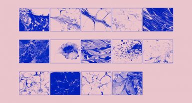 Watercolor Vector Brushes for AI by Go Media