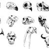 Animal Skulls Vector Pack